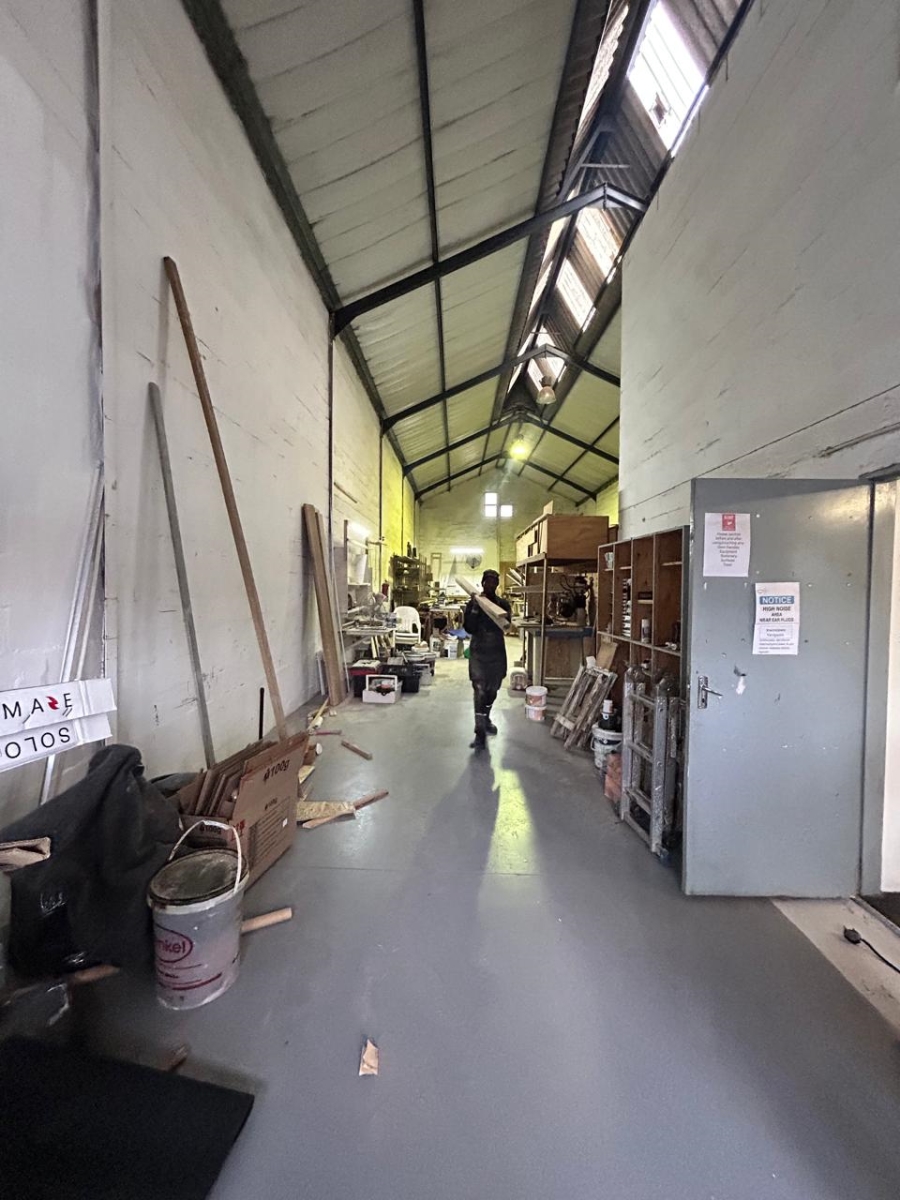 To Let Commercial Property for Rent in Okavango Park Western Cape